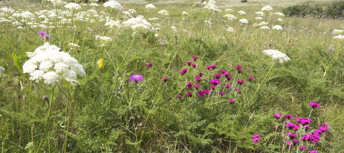 img-63176